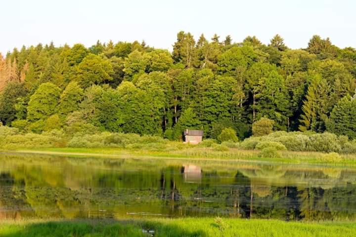 Ferienhaus Mauer Krombachtalsperre, Exclusive Nebenkosten Strom Driedorf エクステリア 写真